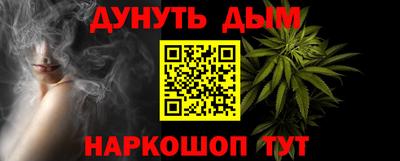 альфа пвп Новодвинск