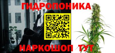 Альфа ПВП Новокубанск