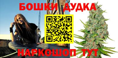 альфа пвп Новодвинск