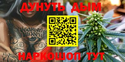 альфа пвп Новодвинск